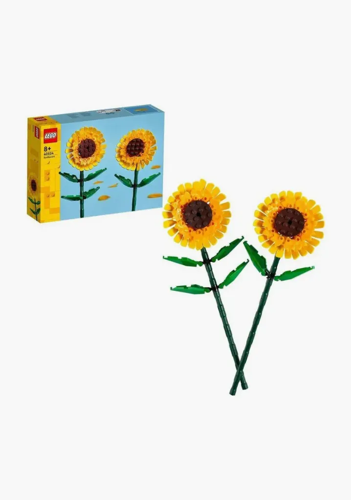 توفير ألعاب للأولاد من سنتربوينت خلال ساعه أو ربما أقل مناسب جداً لتقديمة كهديه